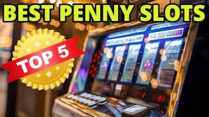 5542 bet